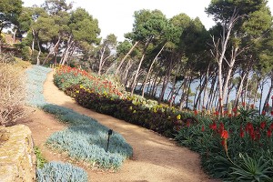 Jardins de Cap Roig_lavola_clade