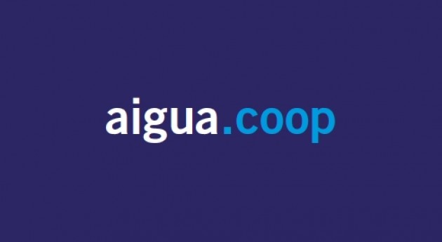 Aigua.coop avança en l’assessorament sobre la gestió cooperativa